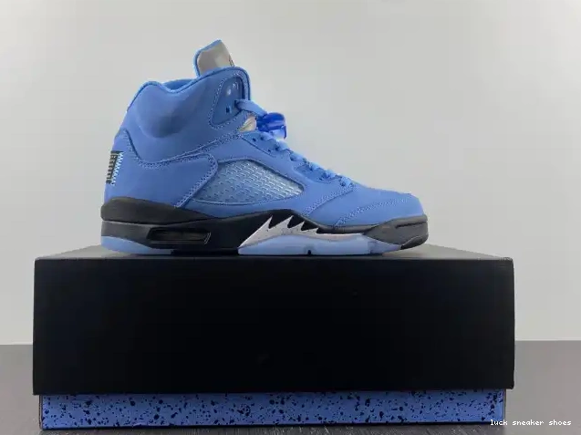 Rep LUCY 5 Jordan UNC DV1310-401 Air 0508